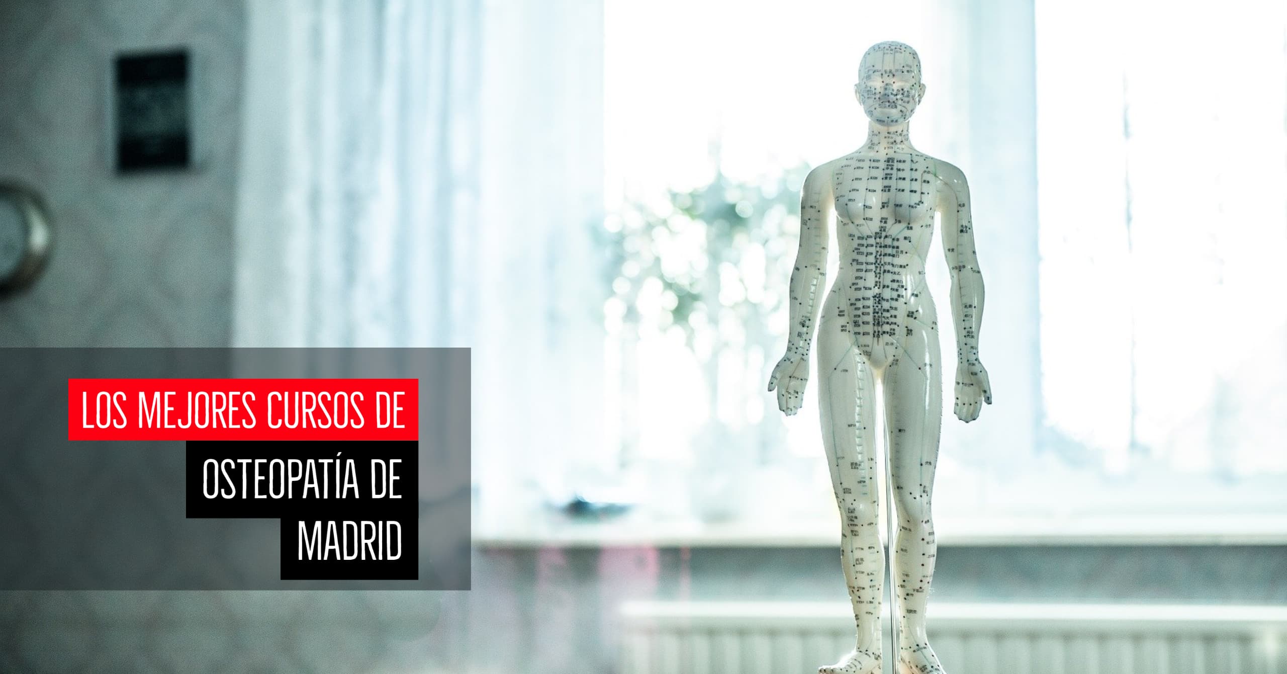 Los mejores cursos de osteopatía de Madrid
