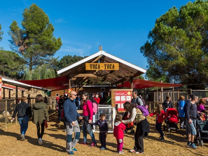Las mejores granjas para ir con niños en Madrid.